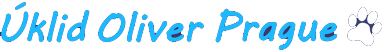 &Uacute;klid Oliver Prague