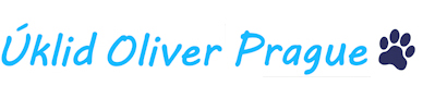 &Uacute;klid Oliver Prague